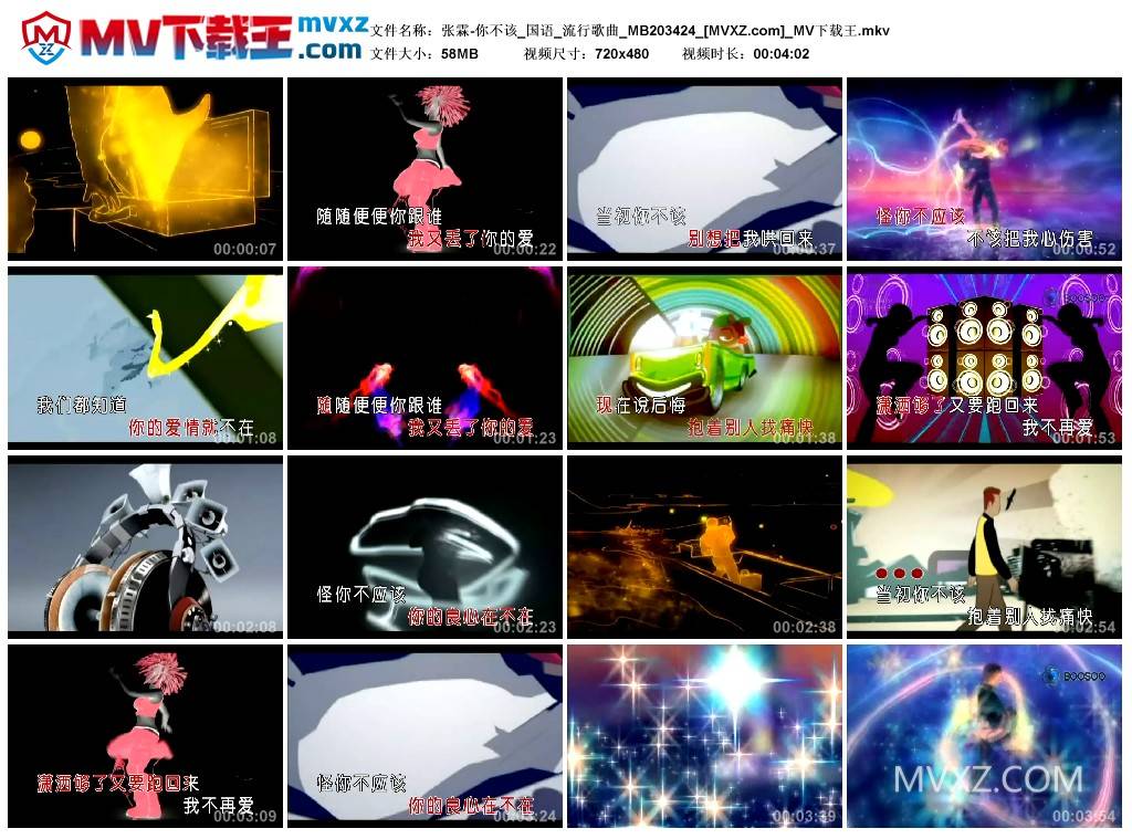 张霖-你不该_国语_流行歌曲_MB203424